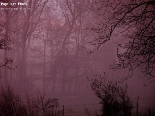 blog020926 screenshot