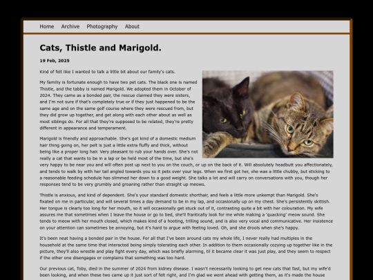 posts/2025-02-19-Blog screenshot
