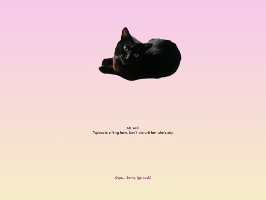 tapioca screenshot