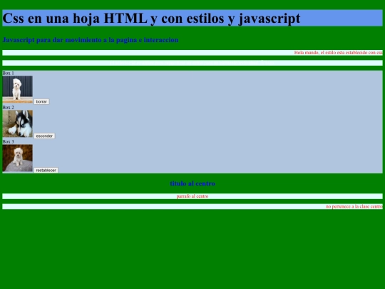 curso/css14 feb screenshot