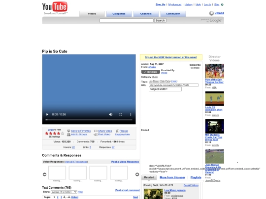 pip screenshot