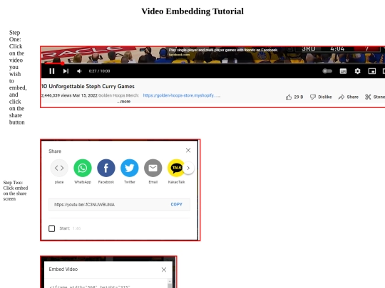VideoEmbedding screenshot