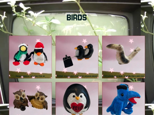Item Collection/Birds/Birds screenshot
