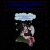 chaosjoose.neocities.org avatar