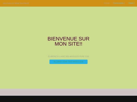 Carnet-partie-3.html/Titre_a_interchanger_plus_tard_avec_index screenshot
