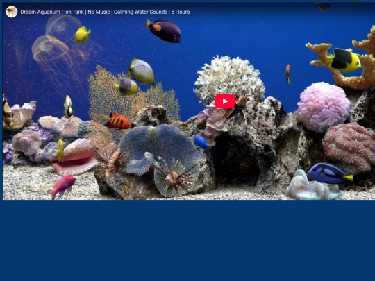 Aquarium/aquarium screenshot