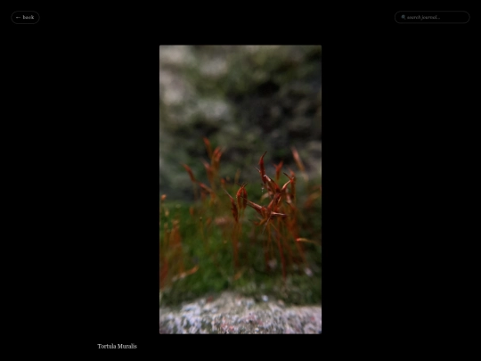 Field Notes Journal/FieldNotes screenshot
