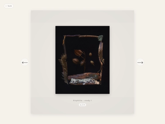 VISUALS screenshot