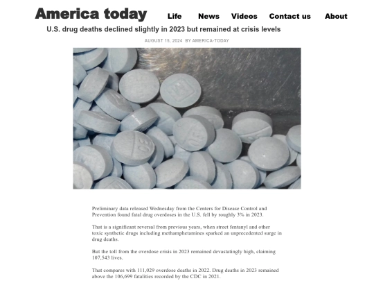 U.S. drug deaths declined slightly screenshot