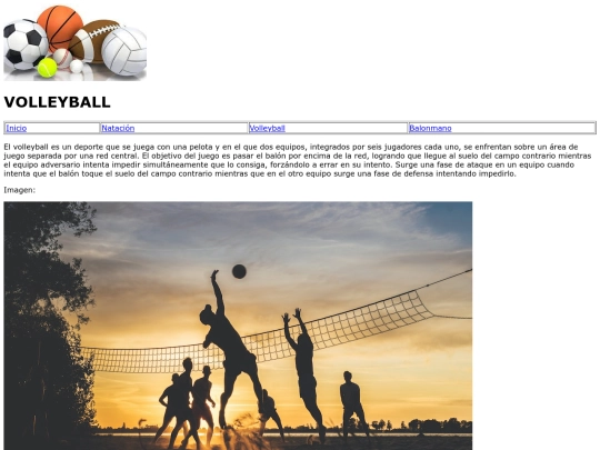 Volleyball screenshot