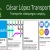 Bienvenido a César López Transport avatar