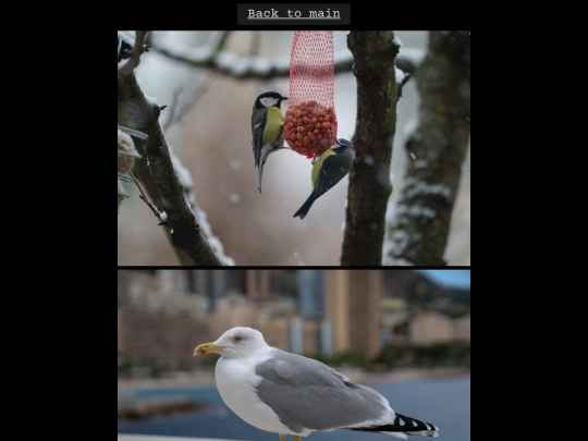 full_pictures screenshot