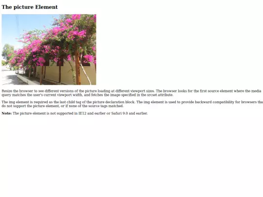 01_Basics/06 - Picture screenshot