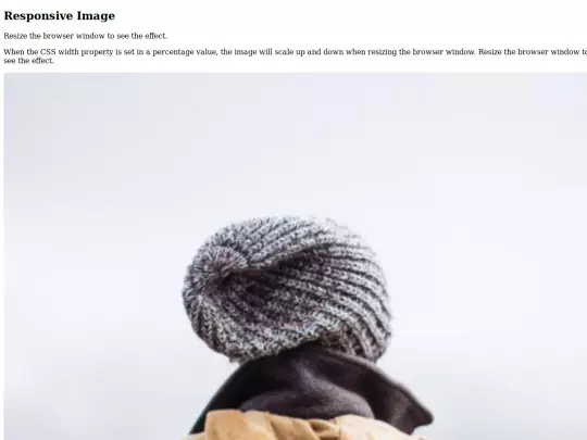 01_Basics/15 - Responsive Images screenshot