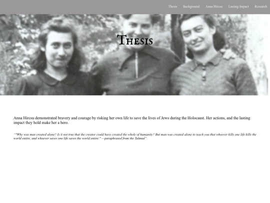 usung_hero/thesis screenshot