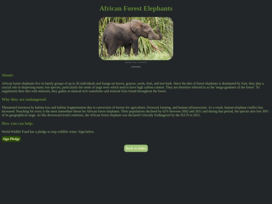 webforpurp/African-Forest-Elephant screenshot