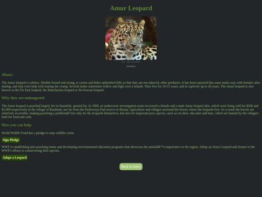 webforpurp/Amur-Leopard screenshot
