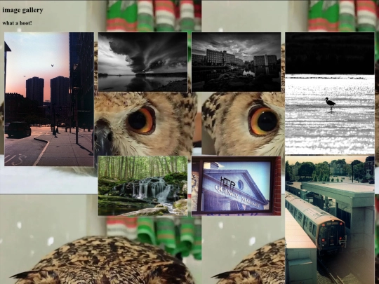 photogallery screenshot
