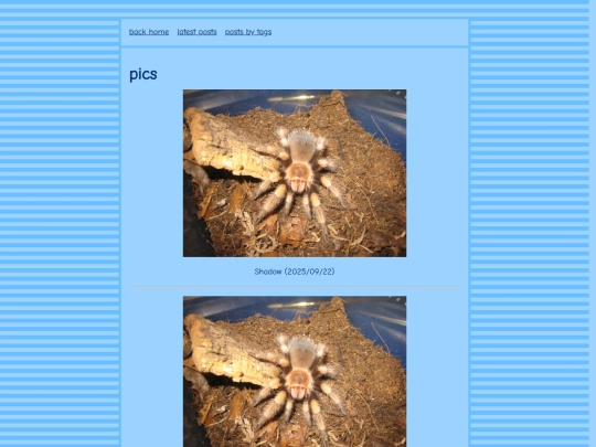 blog/minifeeds/pics screenshot