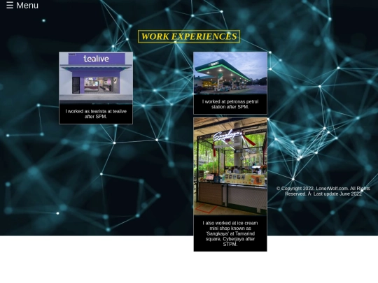 e-resume6 screenshot