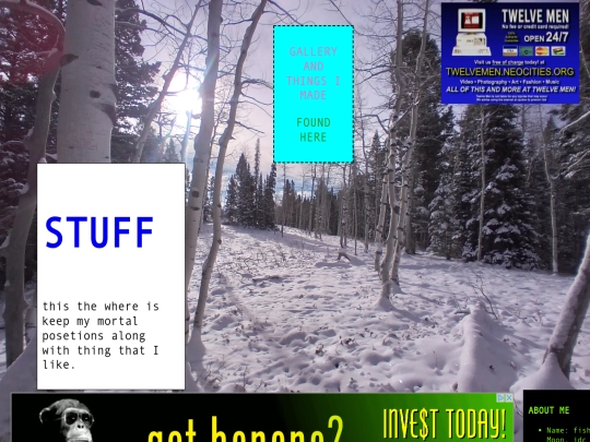 home screenshot