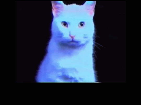 huh screenshot