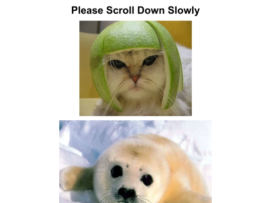 scrollbelow screenshot