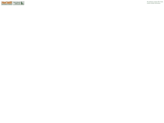 footer screenshot
