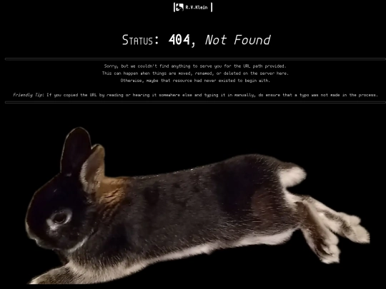 404 screenshot