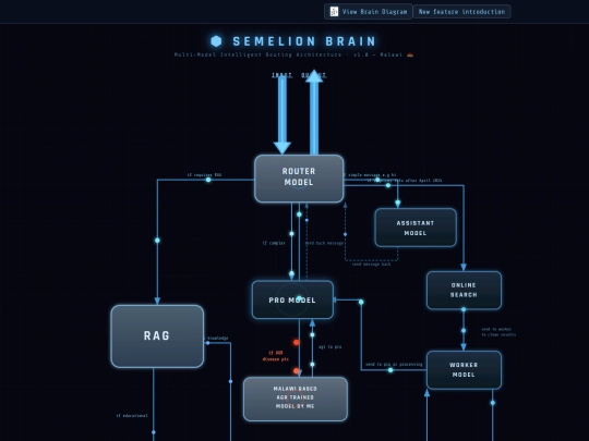 semelion-brain-flow screenshot