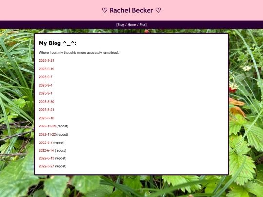 Blog screenshot