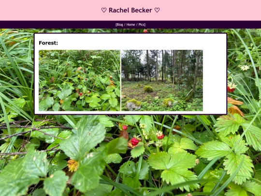 rAlbum2 screenshot