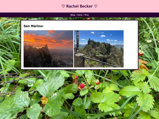 rAlbum3 screenshot