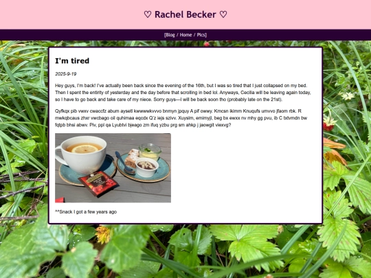 rBlog13 screenshot