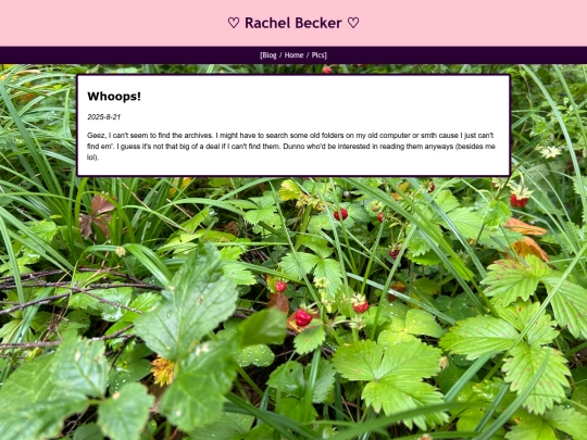 rBlog8 screenshot
