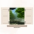 takeamoment.neocities.org avatar