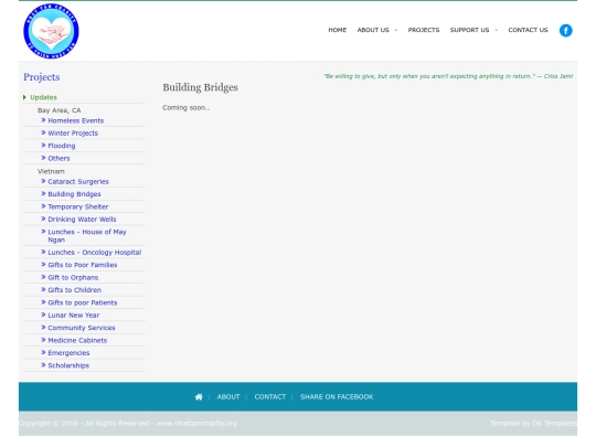 pages/projects/bridge screenshot