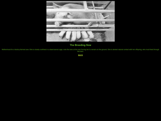 OldStuff/justeatveggies/sow screenshot
