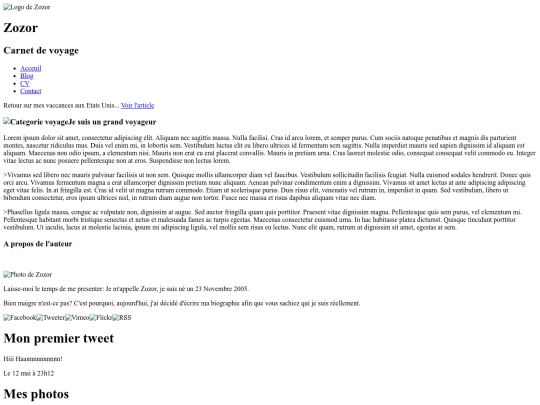 site screenshot