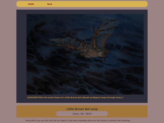 ARTS/DIGI/2022digiINDIE/littlebrownbatzoop screenshot