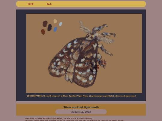ARTS/DIGI/2022digiINDIE/silvspottigermoth screenshot