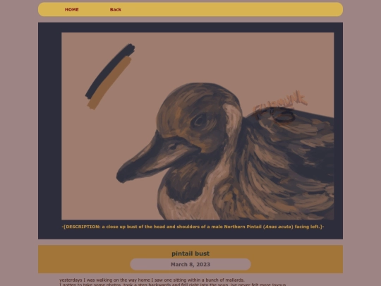 ARTS/DIGI/2023digiINDIE/pintailhead screenshot