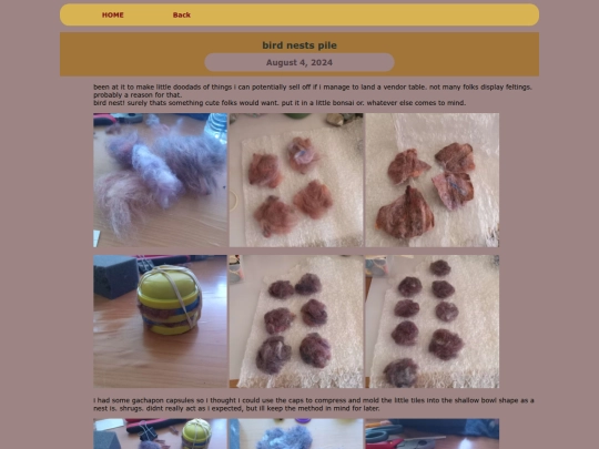 ARTS/FELTS/2024feltsINDIE/birdnests screenshot
