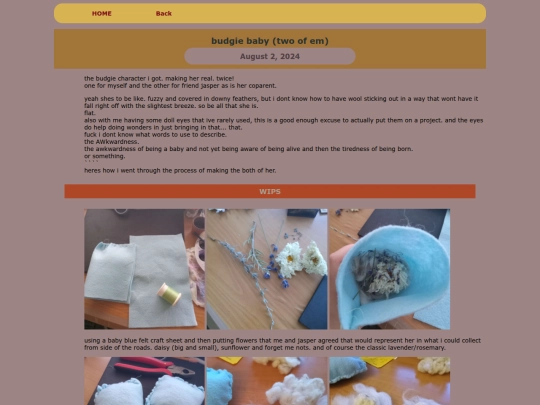 ARTS/FELTS/2024feltsINDIE/budgiebabys screenshot