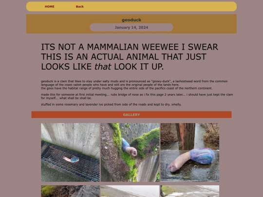 ARTS/FELTS/2024feltsINDIE/geoduck screenshot