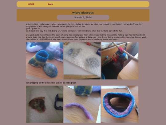 ARTS/FELTS/2024feltsINDIE/weirdplatypus screenshot