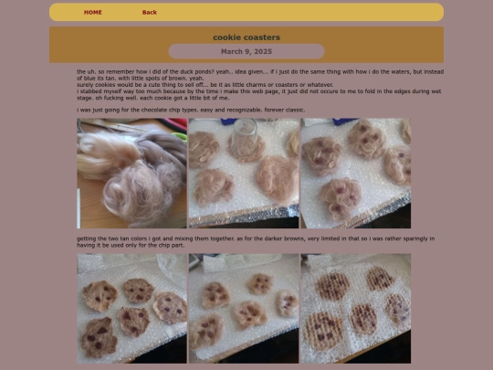 ARTS/FELTS/2025feltsINDIE/cookiecoasters screenshot