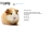 bigpig.neocities.org avatar