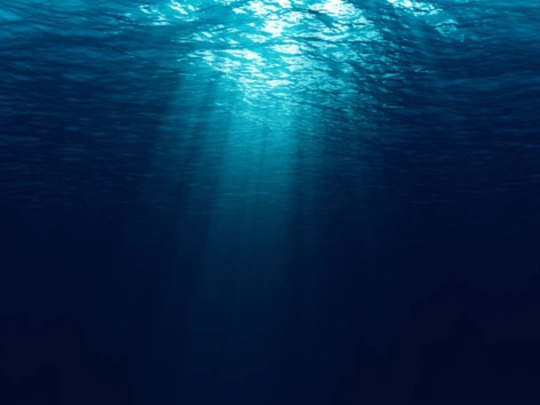 aquarium screenshot