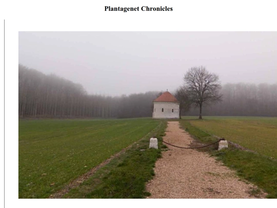 p3a/p3-o screenshot